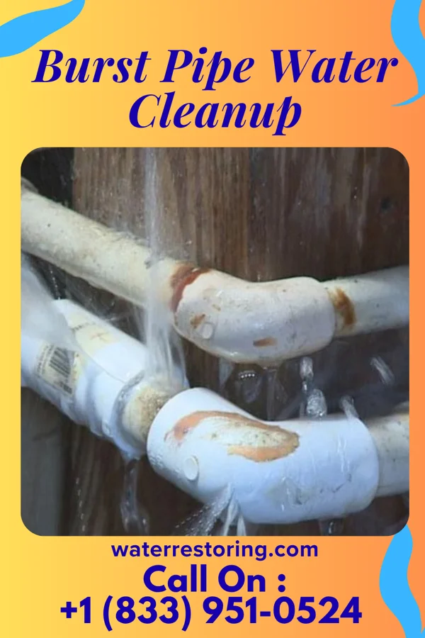 Burst Pipe Water Cleanup in Surry, VA