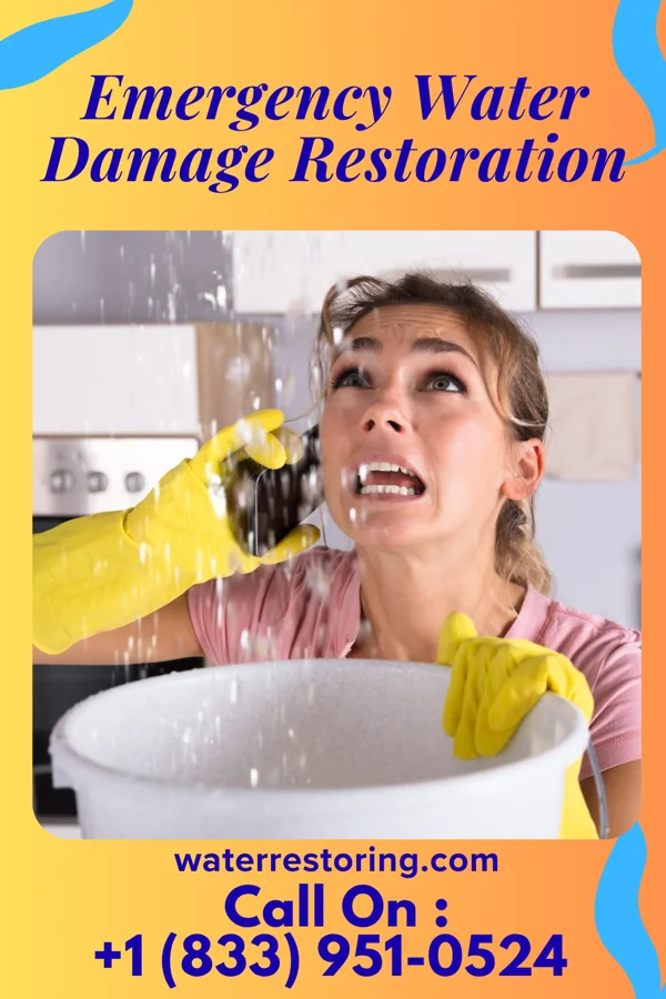 Emergency Water Damage Restoration in Surry, VA
