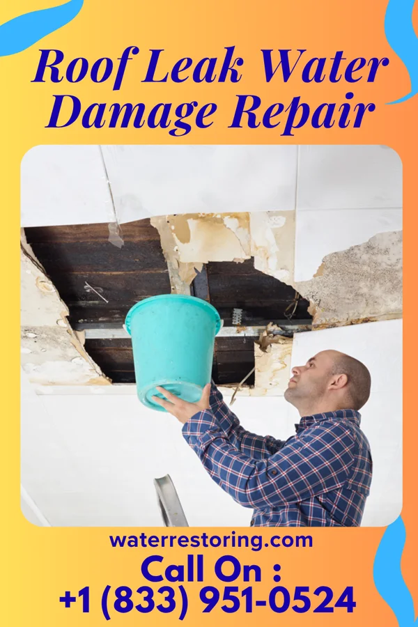 Roof Leak Water Damage Repair in Surry, VA