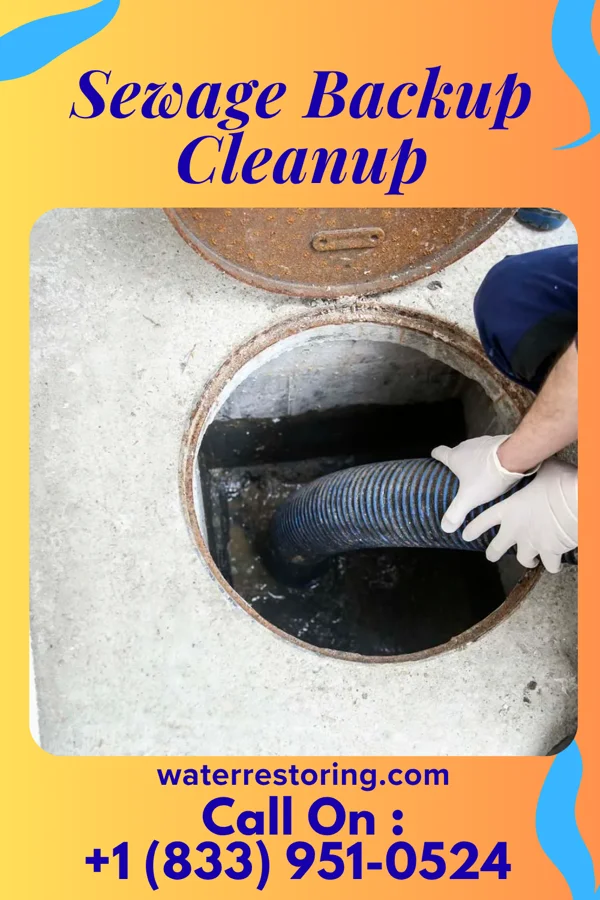 Sewage Backup Cleanup in Surry, VA