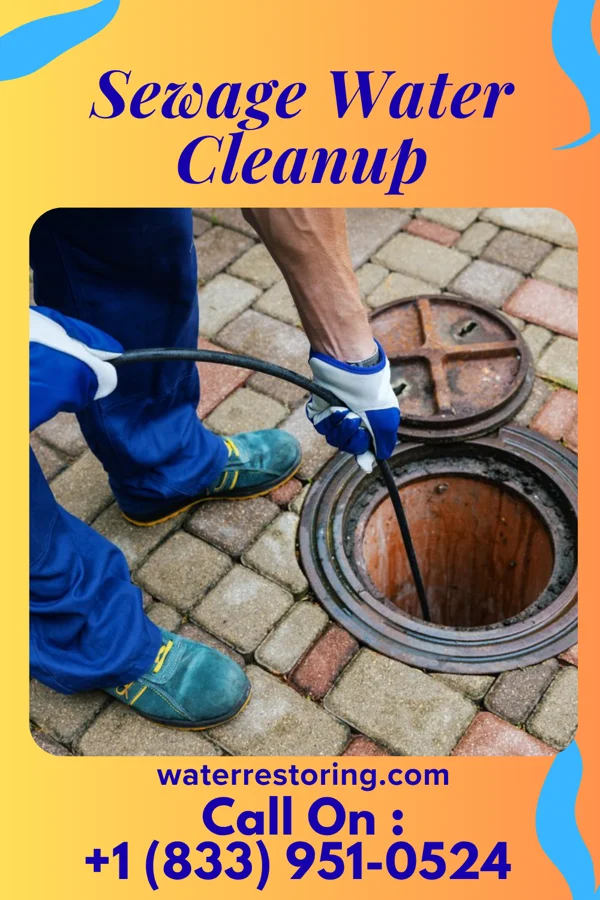 Sewage Water Cleanup in Surry, VA