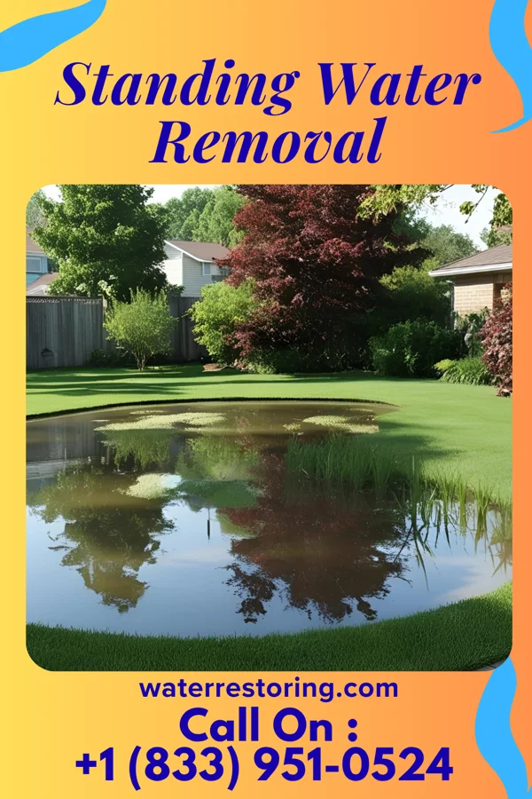 Standing Water Removal in Surry, VA